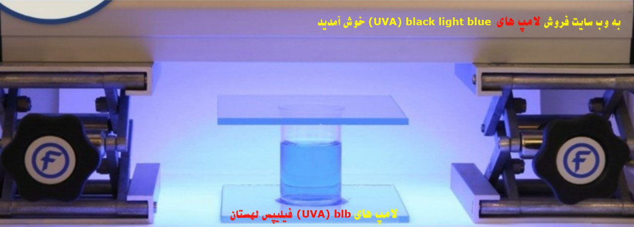 سیزدهمین تصویر